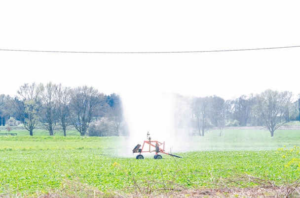 Su sulama fıskiyeleri, alan sebze - Fotoğraf, Görsel