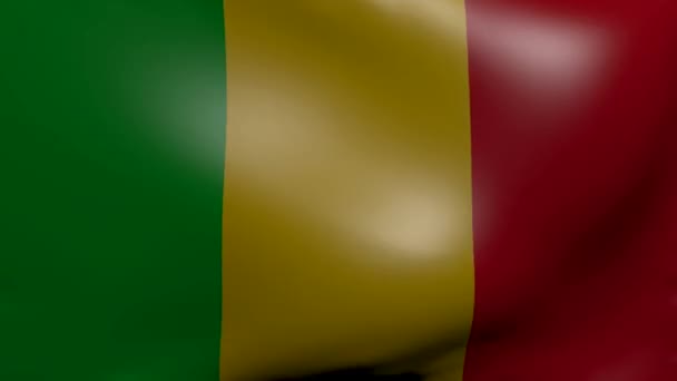 Mali strong wind flag - Imágenes, Vídeo