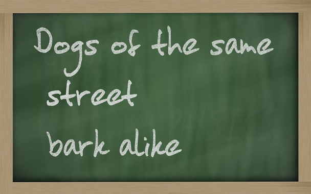 " Собаки одной улицы лают одинаково ", написанные на доске
 - Фото, изображение
