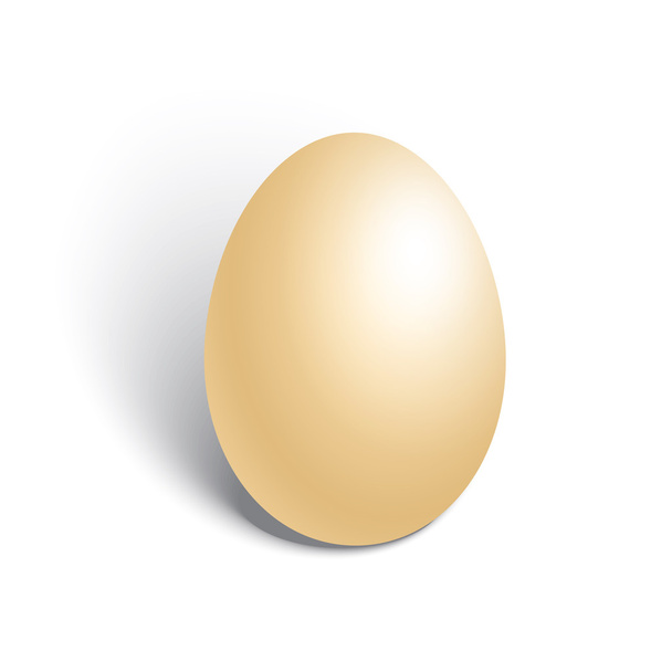 chicken egg on white background - Vettoriali, immagini