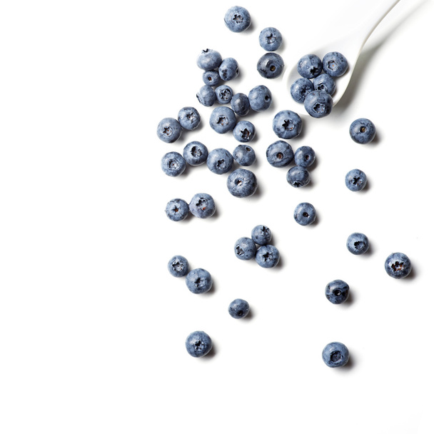 Blueberries on white background - Zdjęcie, obraz