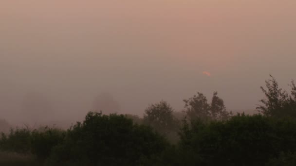 Sunrise on foggy morning - Materiał filmowy, wideo
