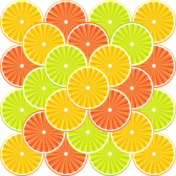 Citrus fruit background - vector - Vector, imagen