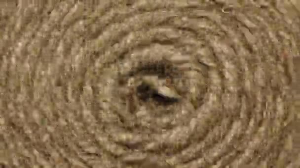 Promieniowej tła, obraca się cewki liny - Materiał filmowy, wideo