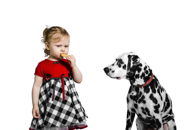Little girl eats cookies and teases Dalmatian dog - Photo, image