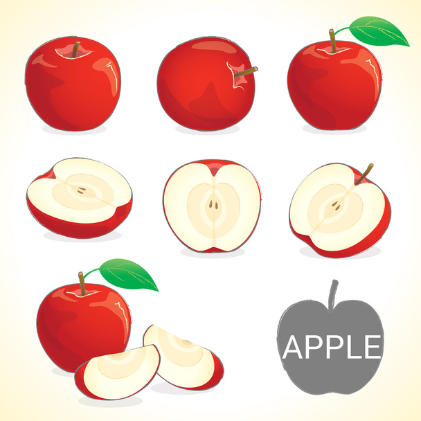 Σύνολο φρούτα μήλων σε διάφορα στυλ διανυσματική μορφή - Διάνυσμα, εικόνα