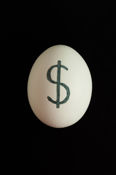 Uovo con segno di valuta del dollaro
 - Foto, immagini