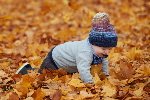 őszi park-aranyos kis bébi - Fotó, kép