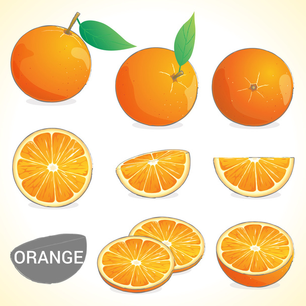 Conjunto de naranjas con hoja en varios estilos
 - Vector, Imagen