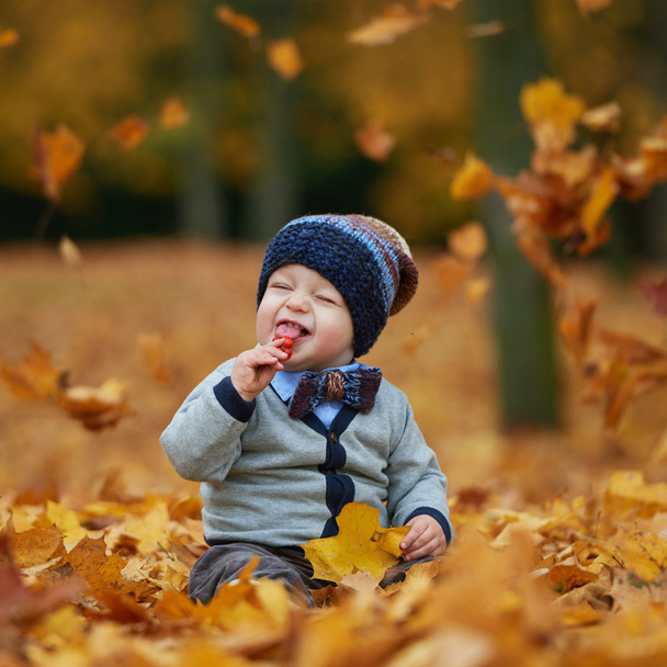 cute little baby in autumn park - Foto, afbeelding