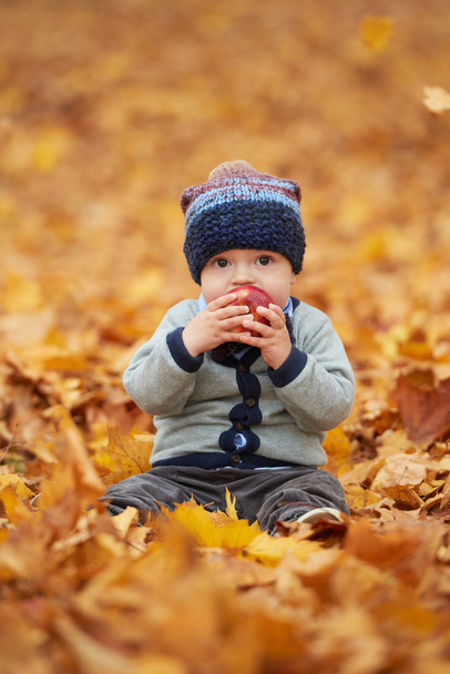 cute little baby in autumn park - Foto, afbeelding