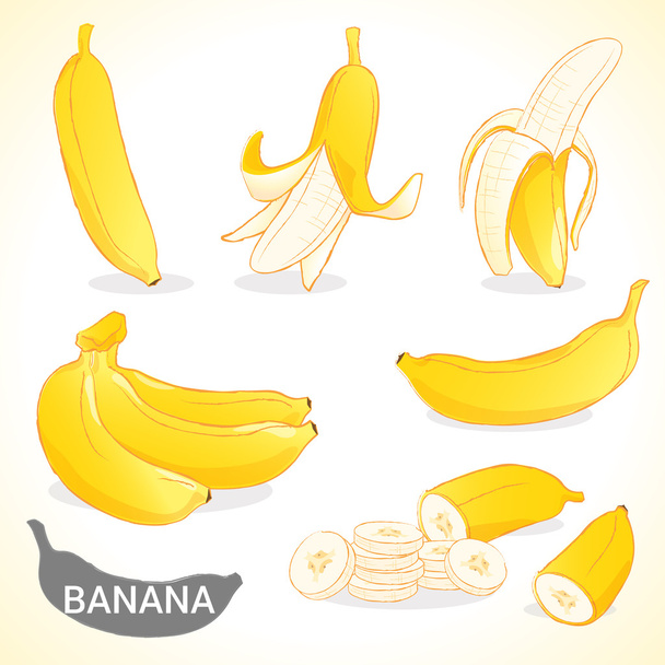 Σύνολο της μπανάνα σε διάφορα στυλ διανυσματική μορφή - Διάνυσμα, εικόνα