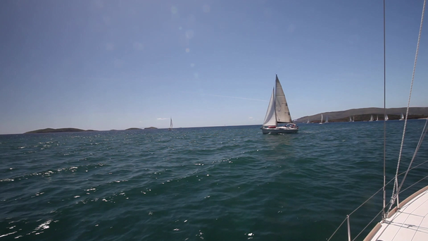 Sailboats participate in sailing regatta - Footage, Video
