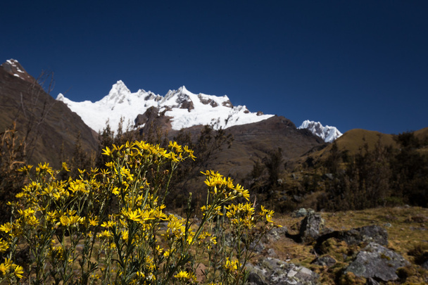 Beau paysage de montagne dans les Andes
 - Photo, image