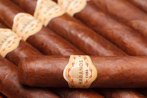 Cuban cigar - Photo, Image