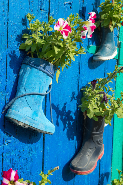 Old rubber boots with blooming flowers - Photo, Image