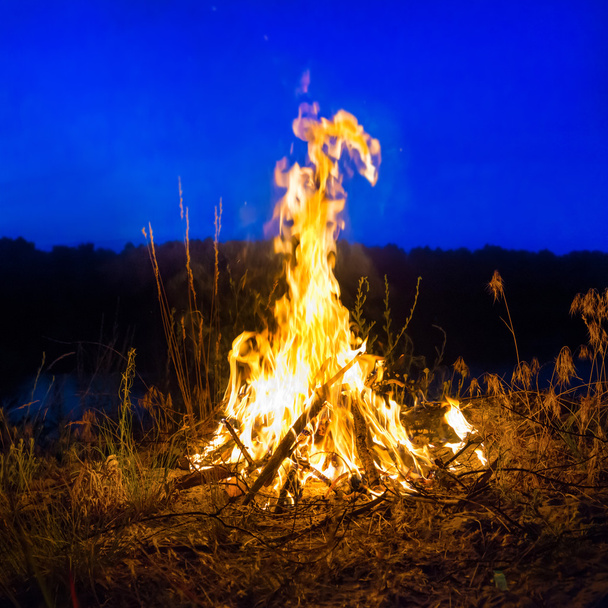 Большой костер ночью в лесу
  - Фото, изображение