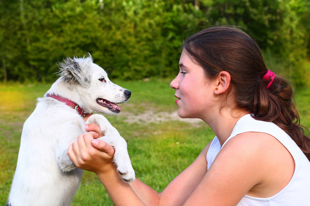  夏の森の背景の白い子犬と遊ぶ女の子 - 写真・画像