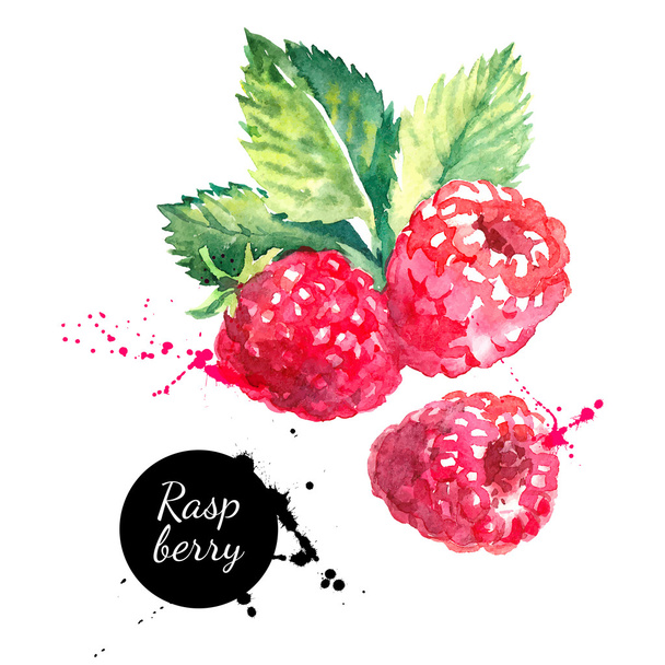 Hand drawn watercolor painting raspberries - Vector, Image