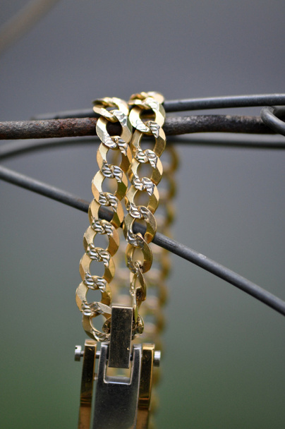 arany nyaklánc - Fotó, kép
