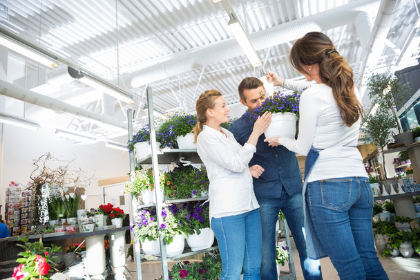 Female Florist Guiding Couple In Buying Purple Flower Plant - Foto, afbeelding