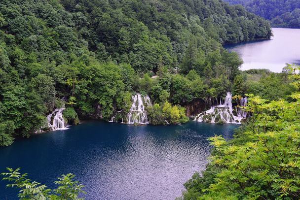 Живописное озеро с лесом
 - Фото, изображение