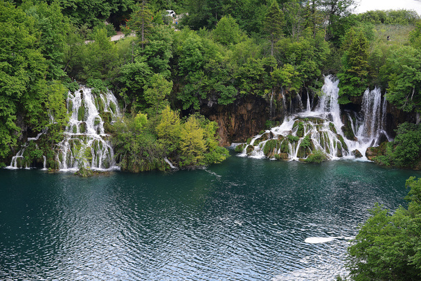 Pintoresco lago con bosque
 - Foto, imagen