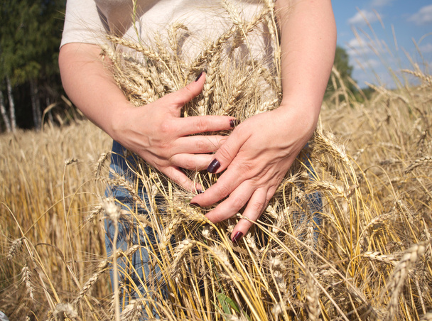 Young woman caddle ripe rye stems - Foto, afbeelding