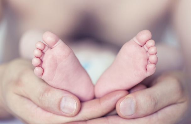 Baby feet  - Photo, Image