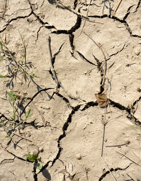 ξηρό ραγισμένο έδαφος - Φωτογραφία, εικόνα