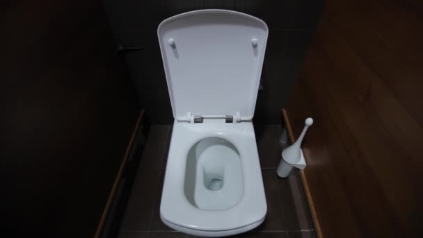het verlagen van het water uit het toilet witte man's hand, Europese verschijning, - Video