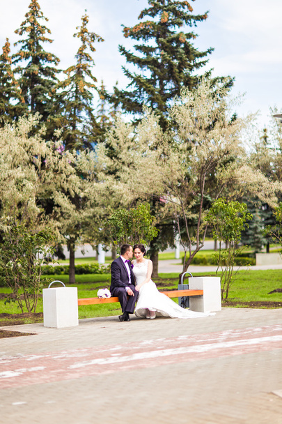 Νύφη και γαμπρός στο γάμο ημέρα περπάτημα σε εξωτερικούς χώρους σε φθινοπωρινή φύση.  - Φωτογραφία, εικόνα