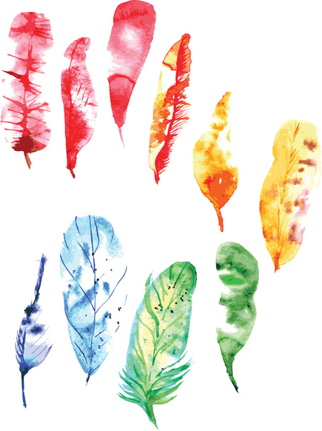 set of colorful watercolor  feathers - Vector, imagen