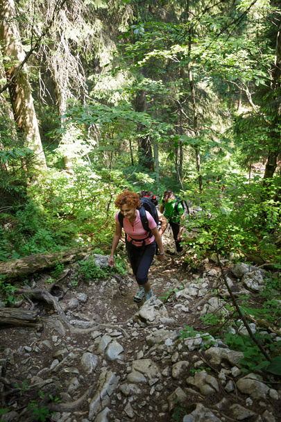 hikers on a steep trail - Фото, изображение