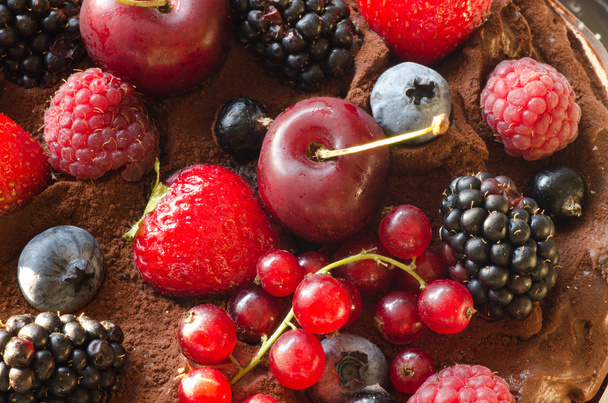 cake with berries  - Fotografie, Obrázek