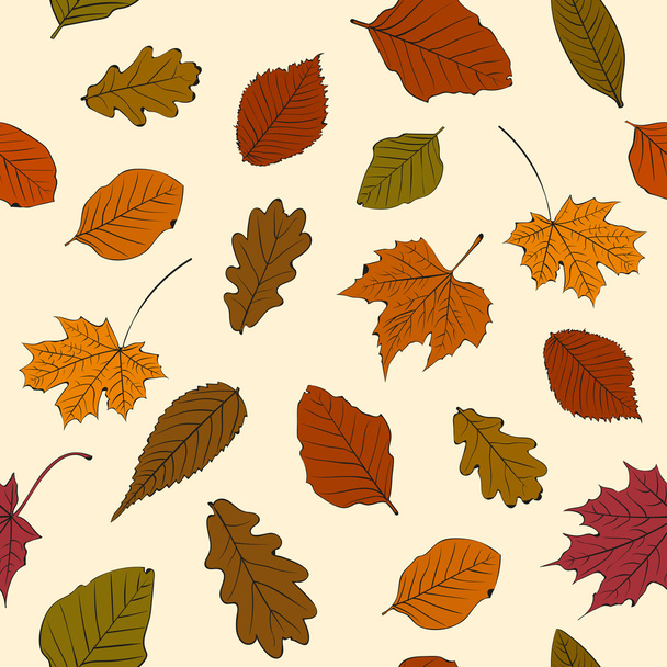 Patrón de hojas de otoño - Vector, Imagen