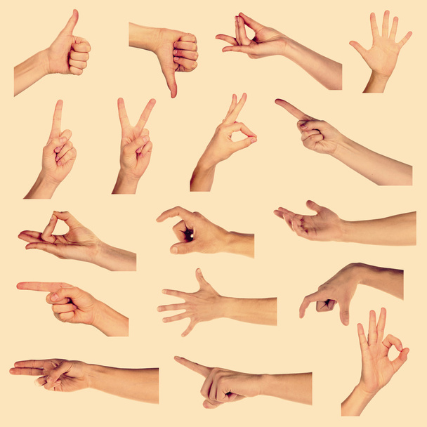 Collage of hands showing different gestures on light background - Photo, Image