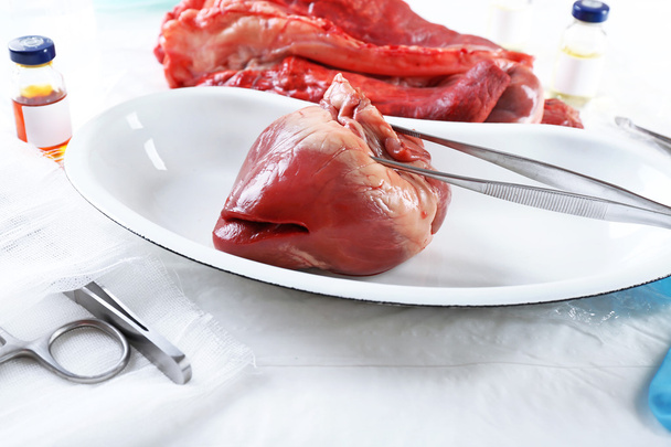 Heart organ in medical metal tray - Photo, image