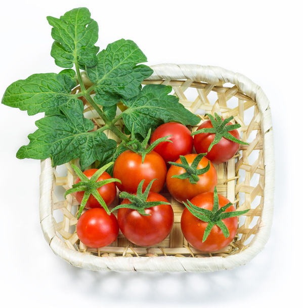 Tuoreet punaiset tomaatit korissa valkoisella pohjalla
 - Valokuva, kuva
