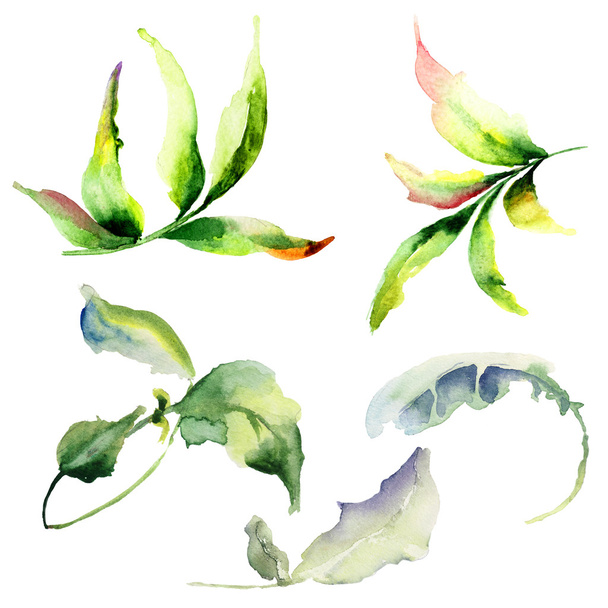 Set of watercolor leaves - Foto, Bild