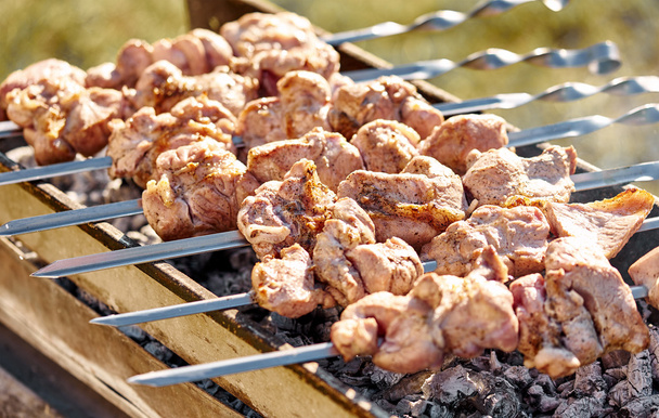 Barbecue skewers with meat - Photo, Image