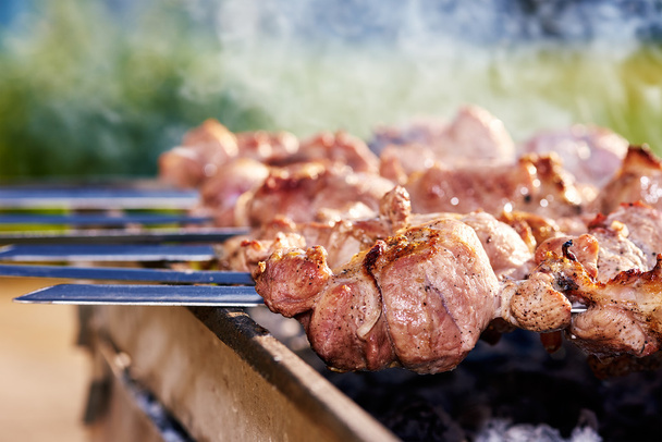 Barbecue skewers with meat - Foto, afbeelding