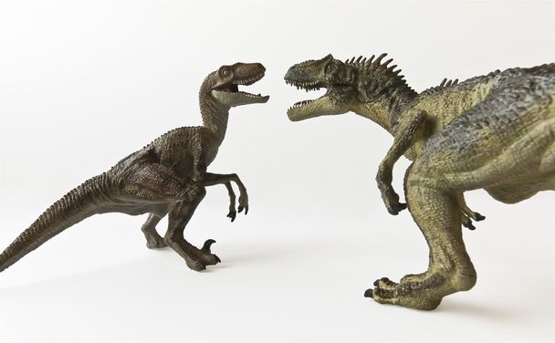 Un velociraptor y allosaurio contra un fondo blanco
 - Foto, imagen