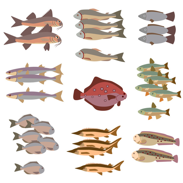joukko erilaisia kaloja tasainen tyyli
 - Vektori, kuva
