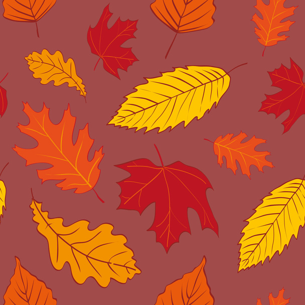 Patrón de hojas de otoño - Vector, Imagen