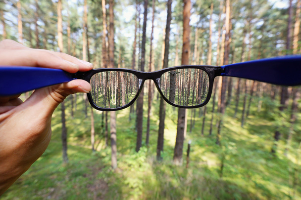 bulanık orman arka plan üzerinde elinde optik gözlük - Fotoğraf, Görsel