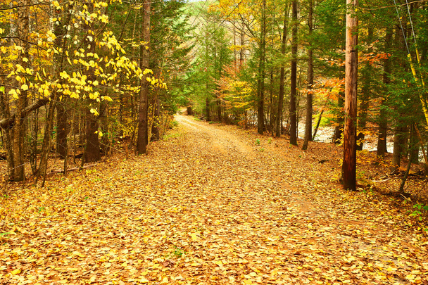 Scène d'automne en Nouvelle-Angleterre
 - Photo, image