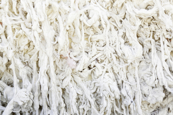 Virgin wool - Photo, Image