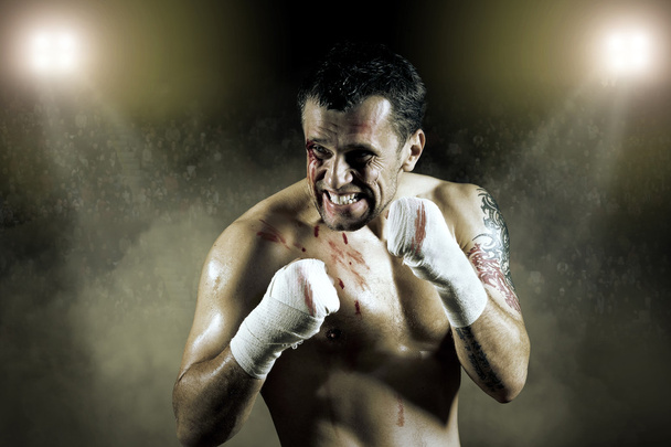 Portrait of boxer in blood - Zdjęcie, obraz