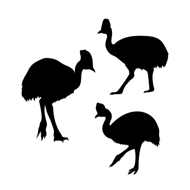 Cassowary bird vector silhouettes. - Vecteur, image